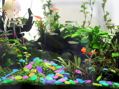 Luminous Stones – Mixed Color Glow Rocks